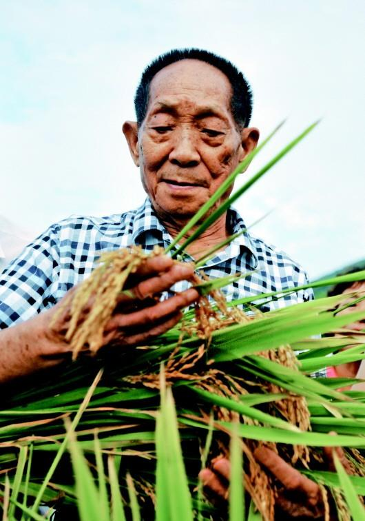 袁隆平院士：一稻濟(jì)世 萬家糧足